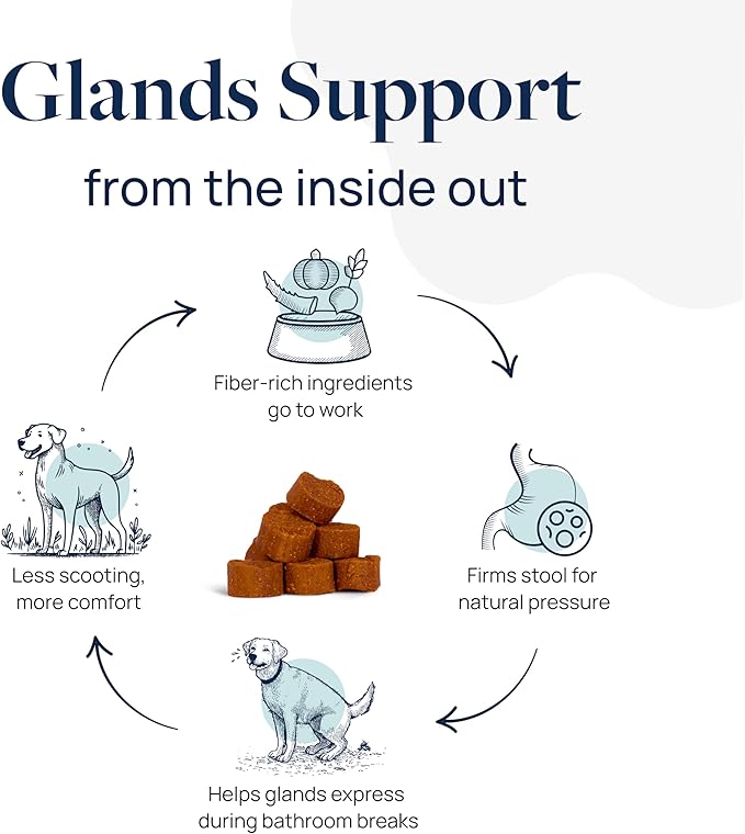 Veterinary Formula Anal Gland Support for Dogs – Vet-Formulated No Scoot Chews with Pumpkin, Ginger, Agave Inulin & Probiotics – Supports Scooting, Stool Quality & Digestive Health, 60 Soft Chews