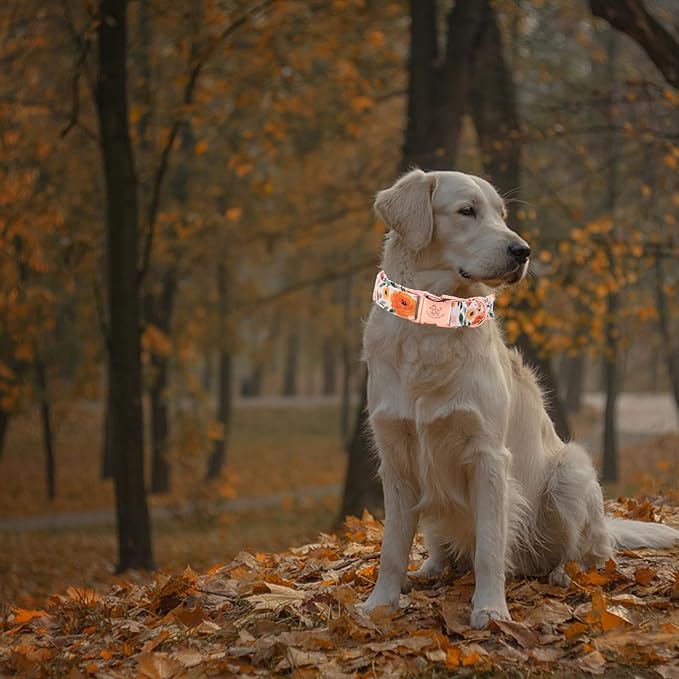 Elegant little tail Fall Dog Collar, Pet Collar Durable Orange Floral Dog Collars Male or Female Holiday Pet Gift Adjustable Dog Collar for Large Dogs