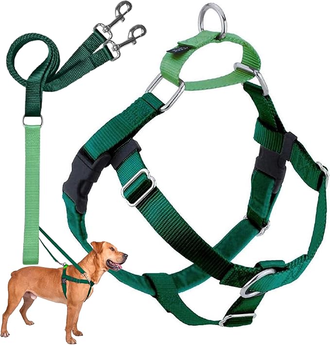 2 Hounds Design Freedom No Pull Dog Harness, Adjustable Harness and Leash Set, Easy Walking & Comfortable Control, Fits Small, Medium & Large Dogs, Solid Colors, Made in USA, 1" LG, Kelly Green