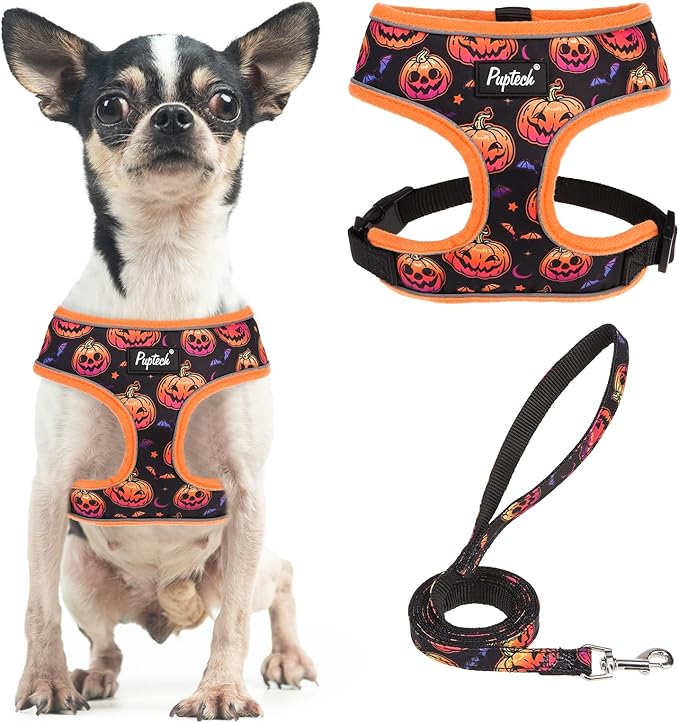 PUPTECK Soft Mesh Dog Harness and Leash Set Pet Puppy Cat Comfort Padded Vest No Pull Harnesses, Halloween Orange, S
