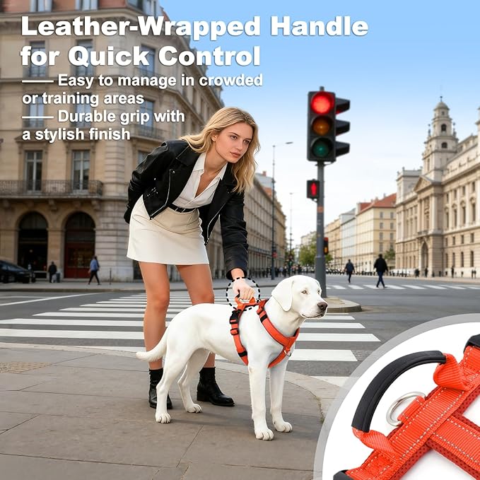 No Pull Dog Harness with Handle, Soft Mesh Padded Adjustable for Small Medium Large Dogs | Reflective Easy Walk Harness with Front Clip for Training, Running & Outdoor (Orange, S)