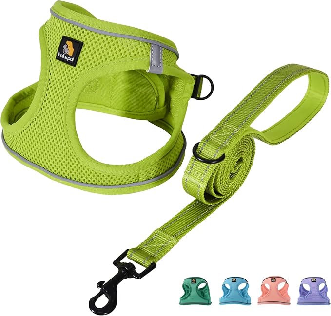BELLA & PAL Step in Vest Harness for Small and Medium Dogs, No Pull Small Dog Harness with Leash Set, Comfortable Air Mesh Dog Vest Harness with Reflective Strip (Avocado Green, S)
