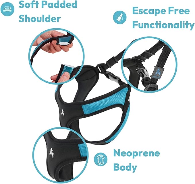 Gooby Escape Free Easy Fit Harness - Purple, Small - No Pull Step-in Patented Dog Harness with Quick Release Buckle for Small to Medium Dogs