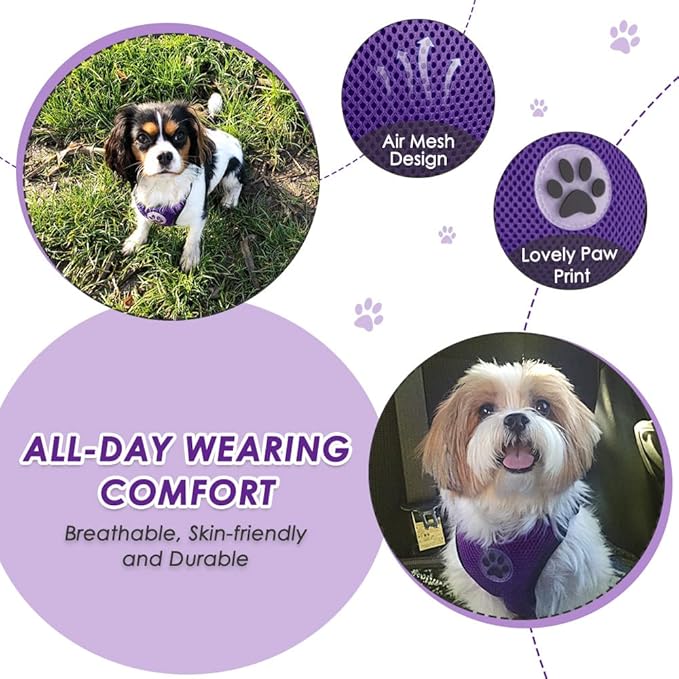 Lukovee Dog Seat Belt for Car, Adjustable Dog Car Harness for Large Medium Small Dogs, Soft Padded & Breathable Mesh Dog Seatbelt with Car Strap and Carabiner (Purple,L)