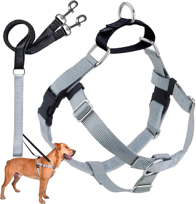 2 Hounds Design Freedom No Pull Dog Harness, Adjustable Harness and Leash Set, Easy Walking & Comfortable Control, Fits Small, Medium & Large Dogs, Solid Colors, Made in USA, 1" XXL, Silver