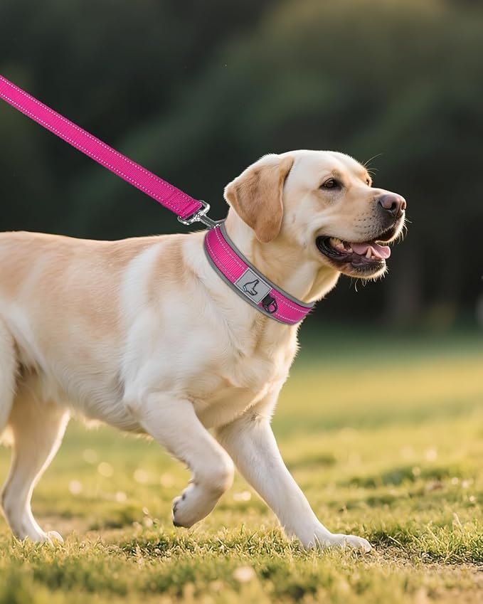 Joytale Dog Collar for Large Dogs, Neoprene Padded and Adjustable, Reflective Wide Heavy Duty Pet Collars with Durable Metal Belt Buckle for Walking, Hotpink, L
