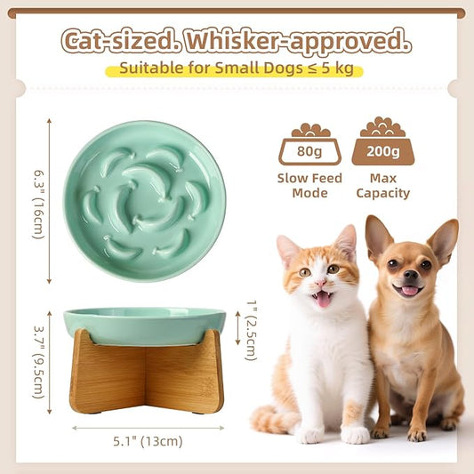 Elevated Slow Feeder Cat Bowl - Ceramic Cat Food Dish with Anti-Slip Bamboo Stand - Whisker Friendly Feeding Bowl - Raised Maze Plate for Slow Down Eating - Mint Green