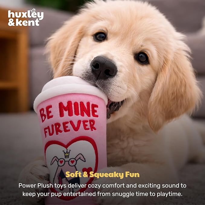 Huxley & Kent Funny Dog Toy w/Squeaker – Valentine's Day Power Plush Squeaky Dog Toys for Small, Medium & Large Dogs – Soft Stuffed Animal for Indoor Play & Fetch - Be Mine Furever Latte, Small