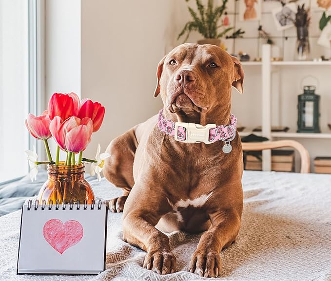 DOGWONG Valentine's Love Letter Dog Collar - Adjustable Durable Pink Heart Cute Collar for Small Medium Dogs