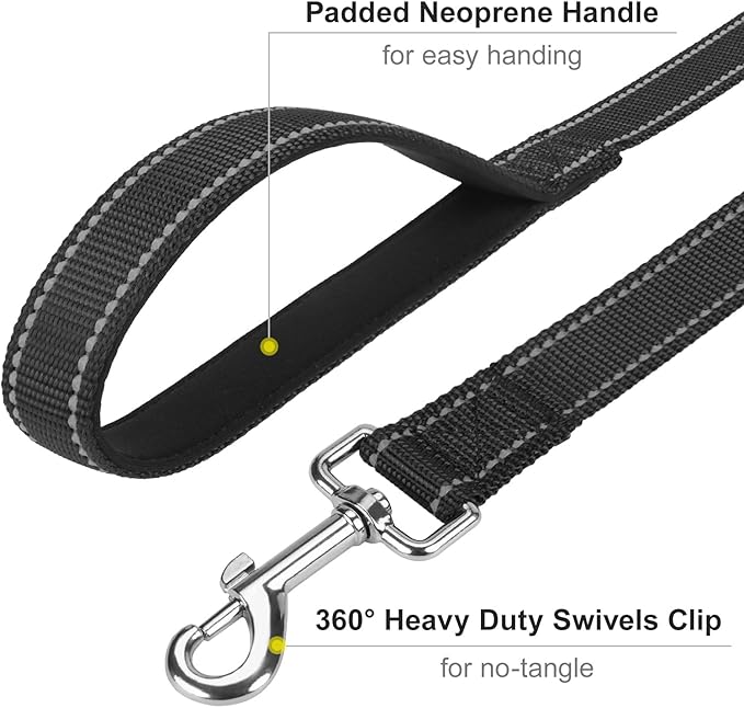 Reflective Dog Leash 6ft Soft Padded Handle Nylon Lead for Small & Medium Dogs, Durable Walking Training Leash for Night Safety (Black,3/4Inch Wide)