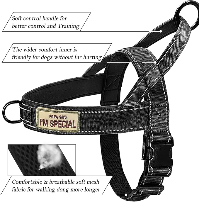 Green No Pull Dog Harness for Small Medium Large Sized Dog, Reflective Escape Proof Adjustable Dog Harnesses with 2 Patch, L