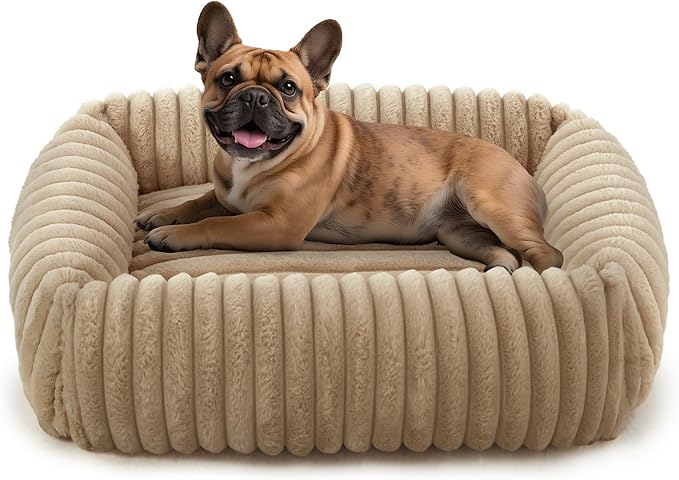 FURTIME Dog Bed Medium Size Dog, Washable Orthopedic Pet Bed with Removable Cover, Rectangle Soft Calming Sleeping Puppy Bed Durable Pet Cuddler with Anti-Slip Bottom, Beige, M Plus (30"x24"x8")