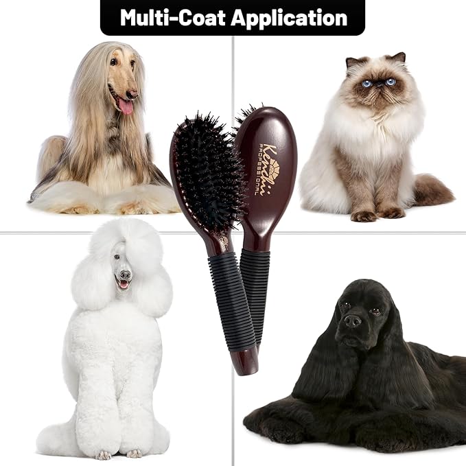 Kenchii Boar and Nylon Bristle Dog/Cat Grooming Brush with One-Piece Maple Body-Choose Size Large, Small (Small)