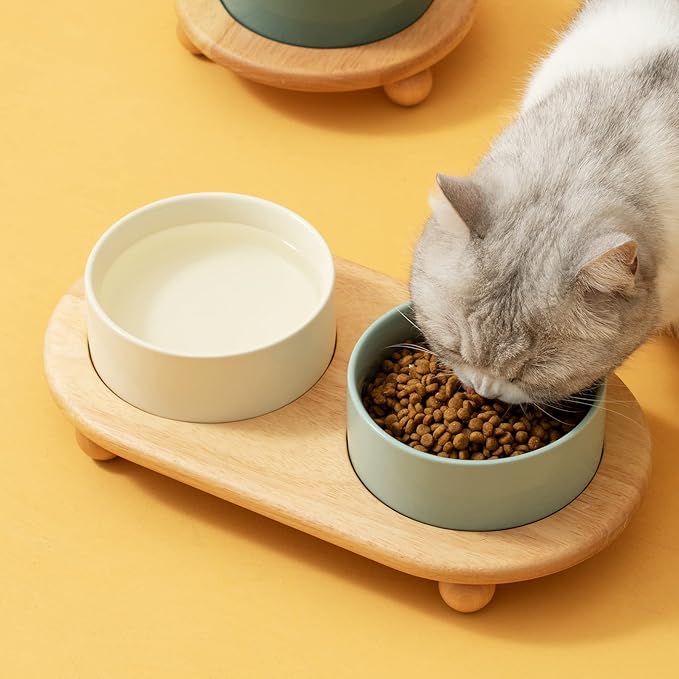 Ceramic Elevated Cat Food and Water Bowl, Kitty Bowl, Raised Cat Dish, Pet Feeder (5.1 in, 2 x Light Green + Stand)