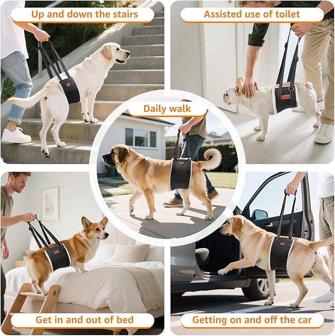 LOOBANI Portable Dog Sling for Back Legs, Hip Support Harness to Help Lift Dogs Rear for Canine Aid and Old K9 Cruciate Ligament Rehabilitation