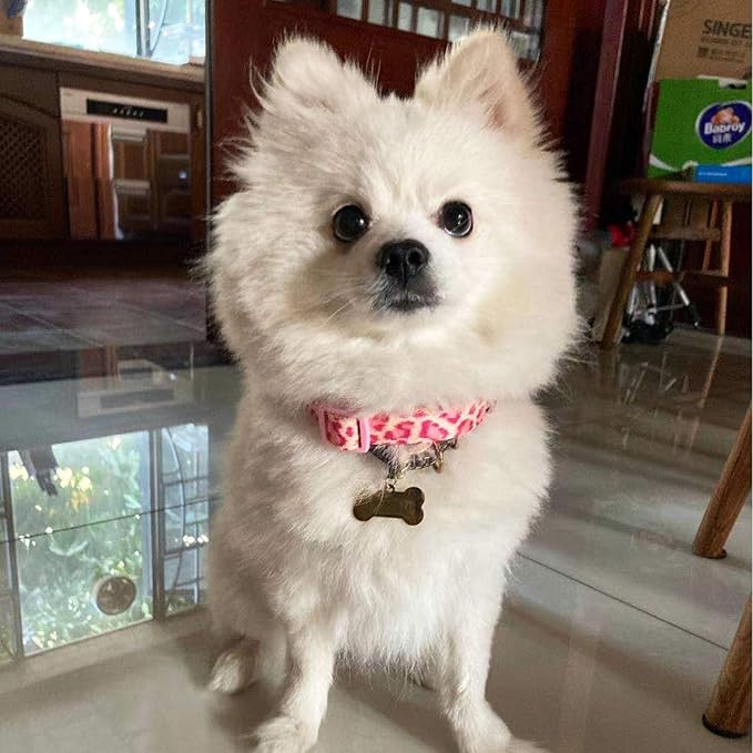Fancy Pink Leopard Dog Collar Flocking Fabric Cheetah Scent Premium Soft and for Puppy,Middle and Big Dogs(Neck:10"-15",Pink Leopard)