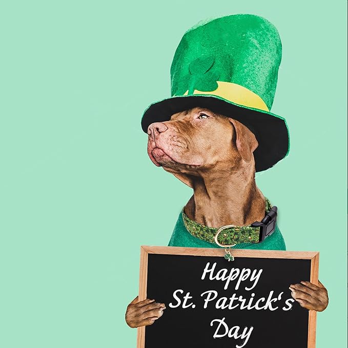 Faygarsle St Patrick's Day Dog Collar Cute Holiday Collar for Small Medium Large Dogs Green Trefoil Print Lucky Straw Cotton Dog Collar XS