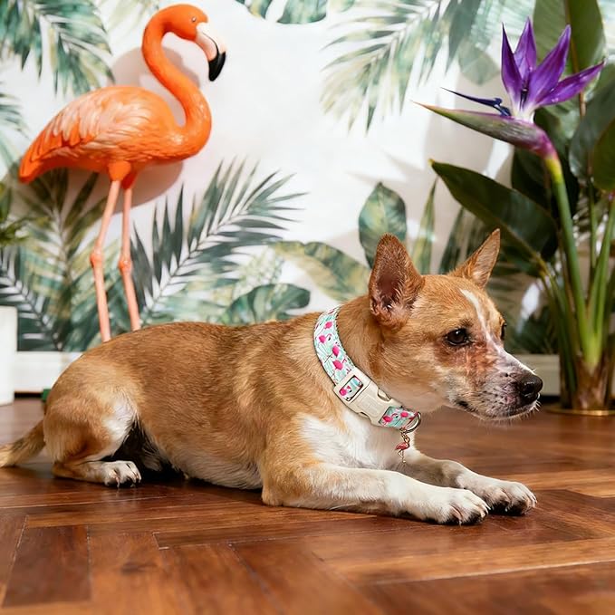 DOGWONG Pink Flamingo Dog Collar Spring Puppy Collars for Small Girl Boy Dogs Durable Soft Adjustable Dog Collar for Small Medium Large Dogs,L