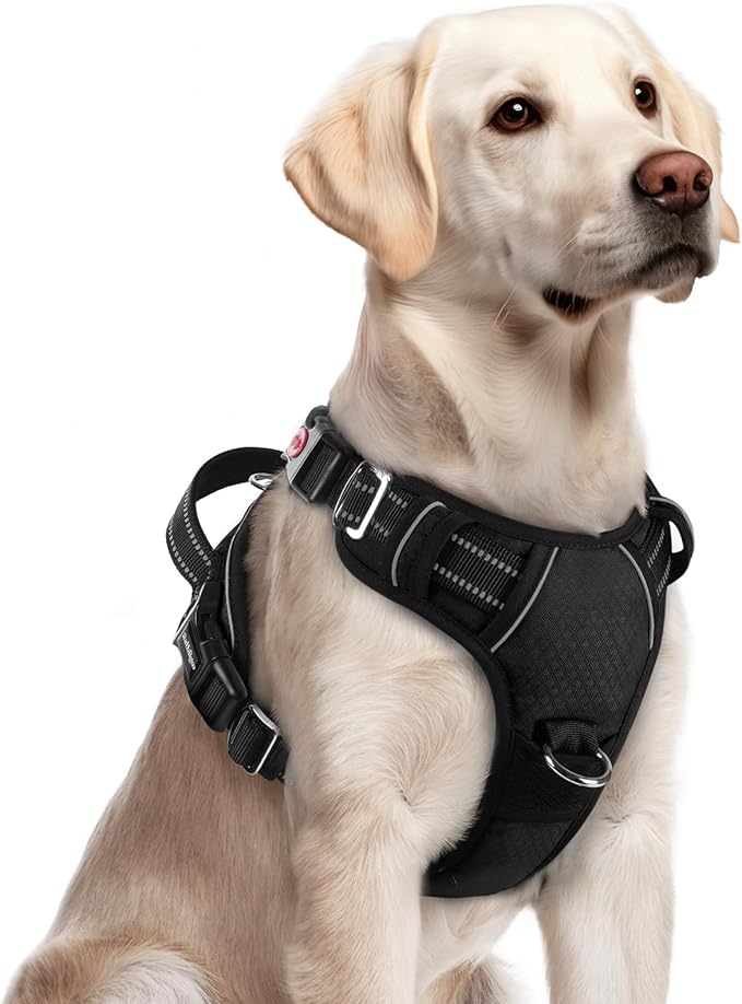 rabbitgoo Dog Harness for Large Dogs, No Pull Pet Vest with 3 Buckles, Adjustable Soft Padded Pet Harness with Easy Control Handle and Reflective Strips, Black, L