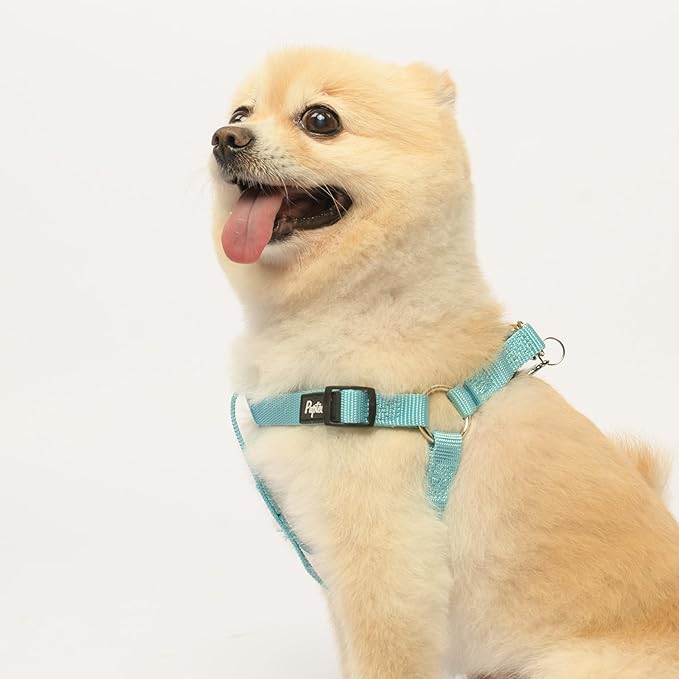 PUPTECK No Pull Dog Harness Soft Adjustable Basic Nylon Step in Puppy Vest Outdoor Walking with ID Tag, SkyBlue, XS