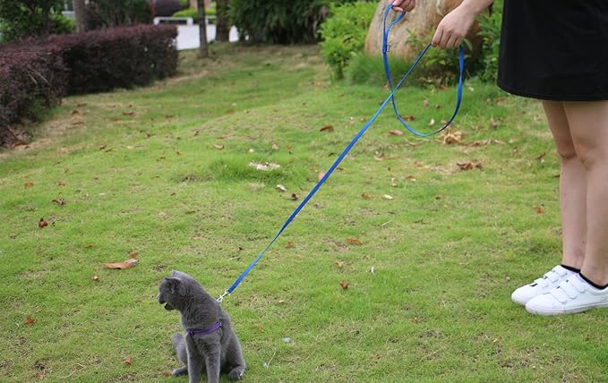 AMAGOOD 6 FT Cat Leash, Strong and Durable Traditional Style Leash with Easy to Use Collar Hook,Cat Lead Great for Cats (3/8 in x 6 ft,Black and Blue(2-Pack))