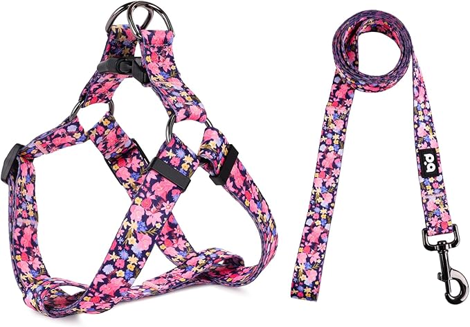 QQPETS Dog Harness Leash Set Adjustable Heavy Duty No Pull Halter Harnesses for Small Medium Large Breed Dogs Back Clip Anti-Twist Perfect for Walking