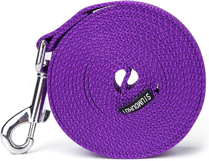 Strong Durable Nylon 10ft Long Dog Training Leash, Traction Rope, 1 Inch Wide, for Small and Medium Dog (Purple, 10 Feet)