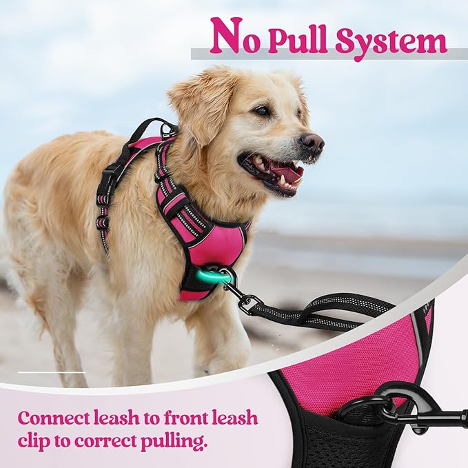 rabbitgoo Dog Harness No Pull with 2 Leash Clips, Adjustable Soft Padded, Reflective Oxford No Choke Pet Vest with Easy Control Handle for Large Dogs, Hot Pink, S