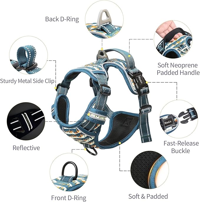 HEELE Dog Harness, No Pull Adjustable Padded Reflective Harness for Small Medium Large Dogs with Handle for Walking Training, Flower-Sunset Valley, XL