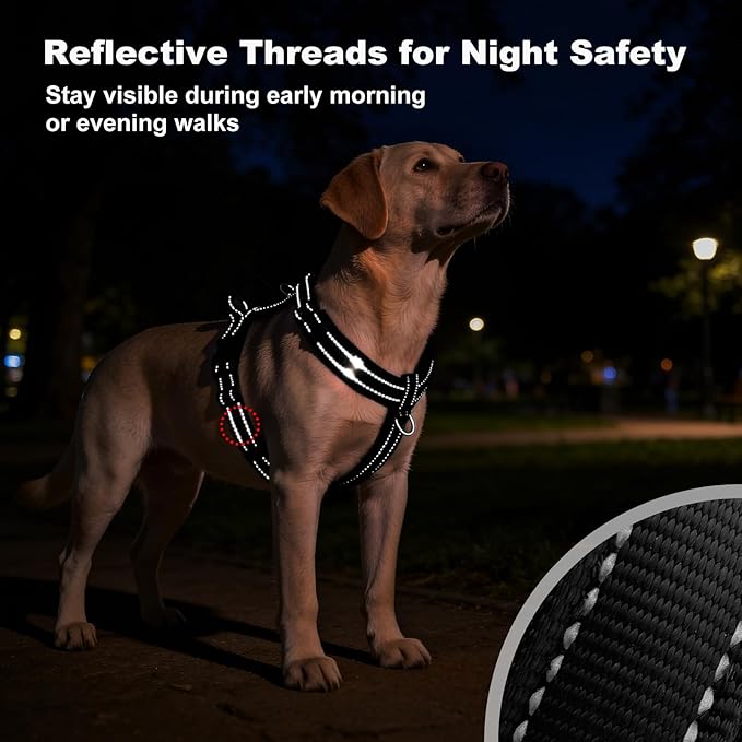 No Pull Dog Harness with Handle, Soft Mesh Padded Adjustable for Small Medium Large Dogs | Reflective Easy Walk Harness with Front Clip for Training, Running & Outdoor (Black, L)