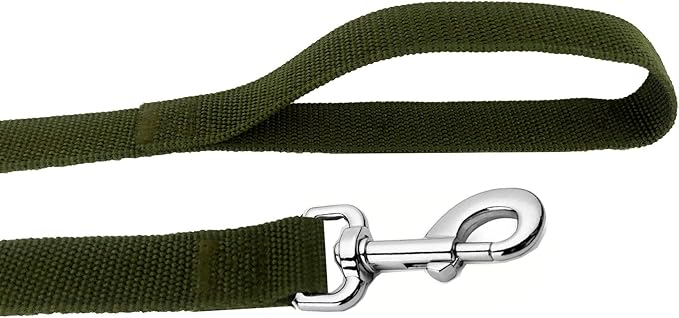 Strong Nylon Dog Leash, 4FT/ 5 FT/ 6FT Dog Leashes for Medium Large Dogs(4 FT, Green)