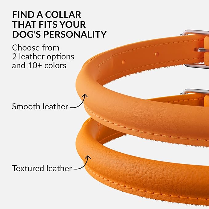 CollarDirect Rolled Leather Dog Collar, Soft Padded Round Puppy Collar, Handmade Genuine Leather Collar Dog Small Large Cat Collars 13 Colors (6 Inch, Orange Smooth)