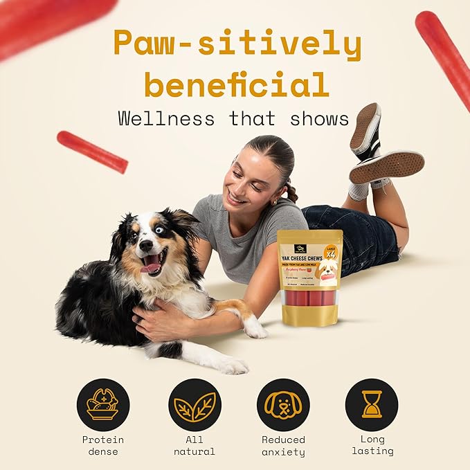 Chews Himalayan Yak Cheese Dog Chews Raspberry Flavor Large - Natural Long Lasting Dental Treat for Large Dogs - High Protein & Calcium - Gluten-Free Lactose-Free - 3-3.5 oz (4 Pack)