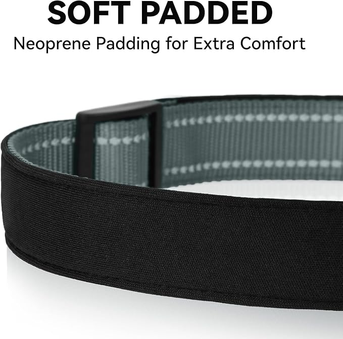 Soft Reflective Dog Collar for Extra Small Dogs, Lightweight Adjustable Puppy Collar with Neoprene Padding, Gentle Nylon for Chihuahua Yorkie,Grey,XS