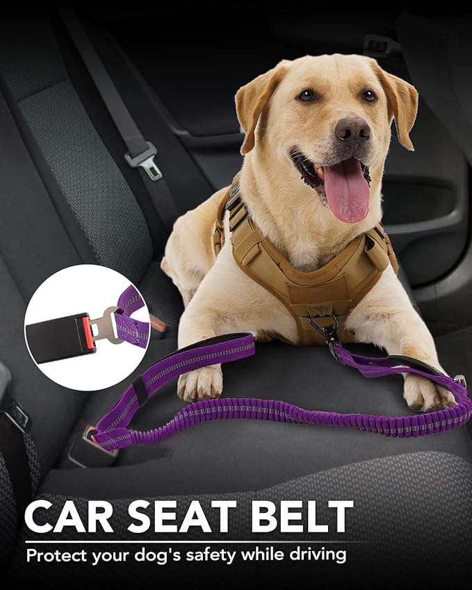 Joytale Tactical Dog Leash Heavy Duty, 4-6FT Shock Absorbing Bungee Lead with 2 Padded Handle, Metal Carabiner Clip, Car Seatbelt, Strong No Pull Leash for Medium Large X-Large Dogs, Purple