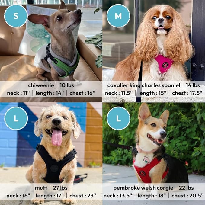 Gooby Escape Free Sport Harness - Lime, Large - No Choke Step-in Patented Neoprene Small Dog Harness with Four-Point Adjustment - Perfect on The Go Dog Harness for Medium Dogs No Pull and Small Dogs