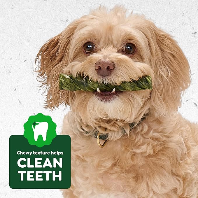 Greenies Occupy Twists Natural Dog Treats Large Breed Size Dog Chews Long Lasting Chicken Flavor, 34.2 oz. Pack, 16 Count