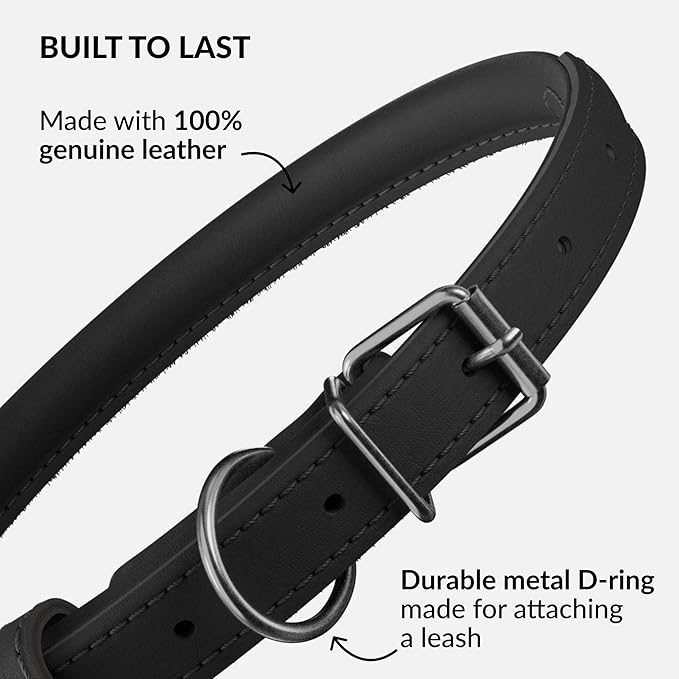 CollarDirect Rolled Leather Dog Collar, Soft Padded Round Puppy Collar, Handmade Genuine Leather Collar Dog Small Large Cat Collars 13 Colors (13-16 Inch, Black Smooth)