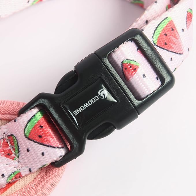 Dog Harness and Leash Set, Adjustable Dog Harness, Dog Leash, No Pull No Choke Puppy Harnesses for Walking Training for Small Medium Pet