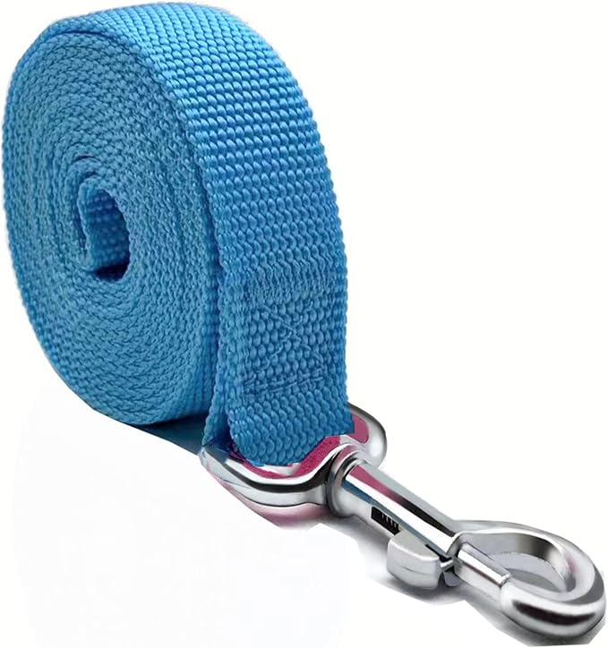 Nylon Dog Leash 8 Feet Long, Walking Training Dog Leashes for Medium Large Dogs(1" X 8 ft, Blue)