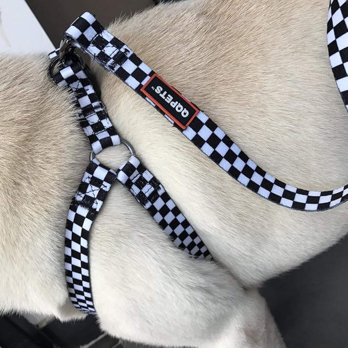 QQPETS Dog Harness Leash Set Adjustable Heavy Duty No Pull Halter Harnesses for Small Medium Large Breed Dogs Back Clip Anti-Twist Perfect for Walking (M(19"-26" Chest Girth), Black Plaid)