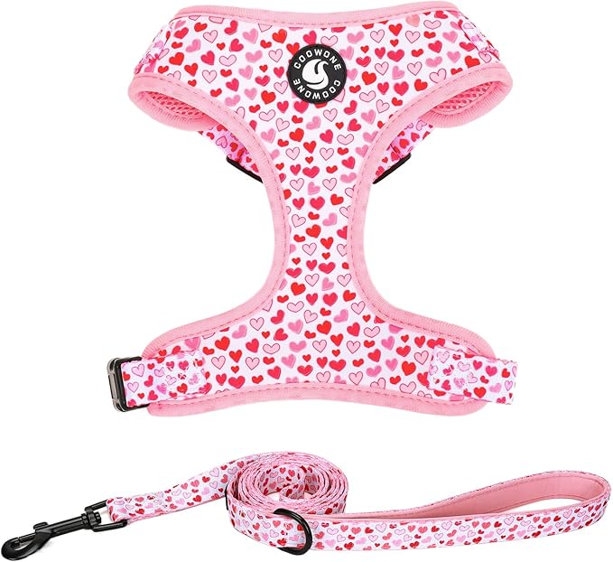 Dog Harness and Leash Set, Adjustable Dog Harness, Dog Leash, No Pull No Choke Puppy Harnesses for Walking Training for Small, Medium Pet (Little Love, M(Chest 17.7-23.1", Neck 13.4-16.4"))