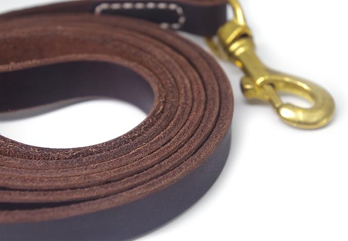 Genuine Leather Dog Training Leash. 4/6 ft Length 3/5 inch Width for Medium and Large Dogs.(6 feet)