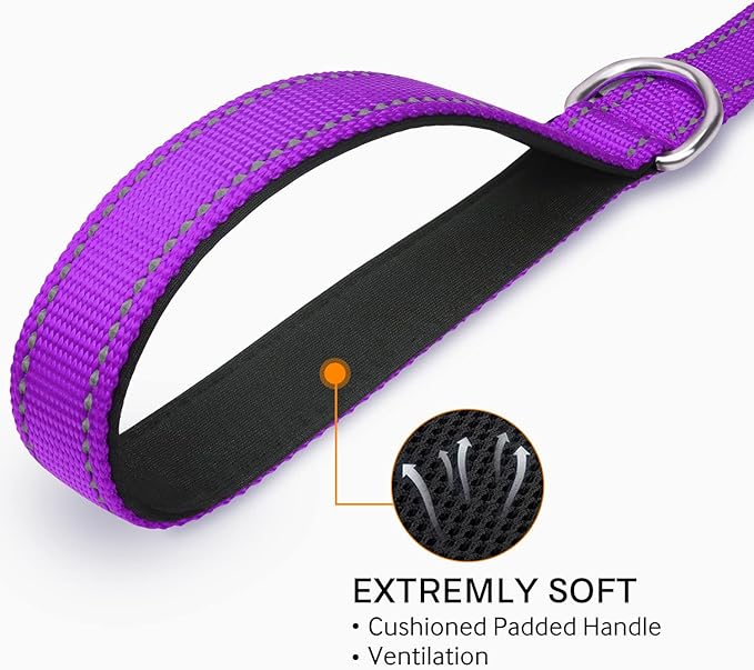 Joytale Dog Leash Heavy Duty for Small Medium Dogs, 5 FT Reflective Nylon Pet Walking Lead with Soft Padded Handle, Durable & Tangle Free for Training, Running & Safety Control, Purple