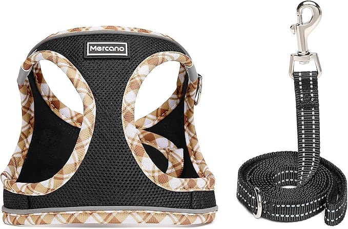 Mercano Soft Mesh Dog Harness and Leash Set, No-Chock Step-in Reflective Breathable Lightweight Easy Walk Vest Harnesses with Safety Buckle for Small Dogs, Cats (Black Yellow, XXS)