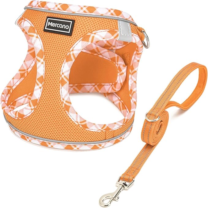 Mercano Soft Mesh Dog Harness and Leash Set, No-Chock Step-in Reflective Breathable Lightweight Easy Walk Vest Harnesses with Safety Buckle for Small Dogs, Cats (Orange, XL)