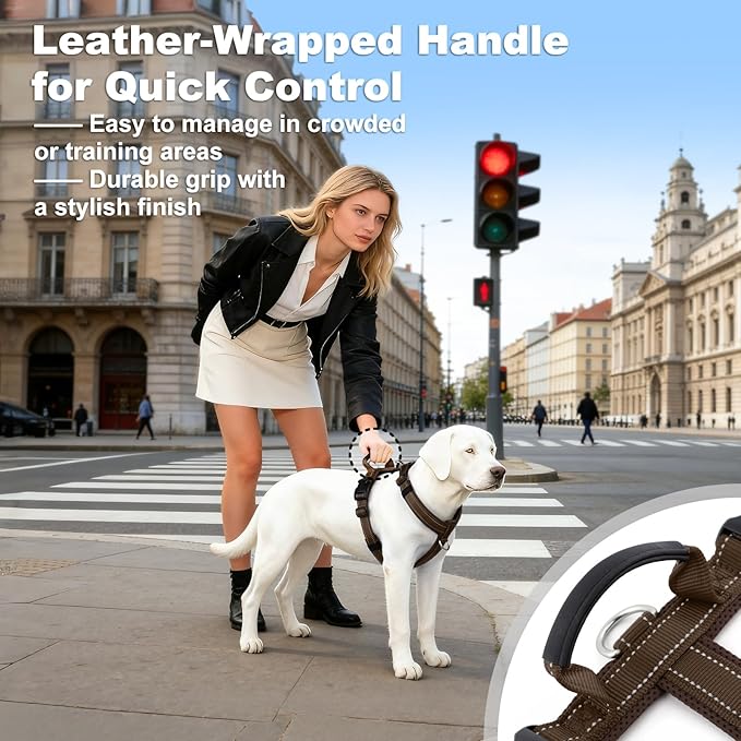 No Pull Dog Harness with Handle, Soft Mesh Padded Adjustable for Small Medium Large Dogs | Reflective Easy Walk Harness with Front Clip for Training, Running & Outdoor (Chocolate, L)