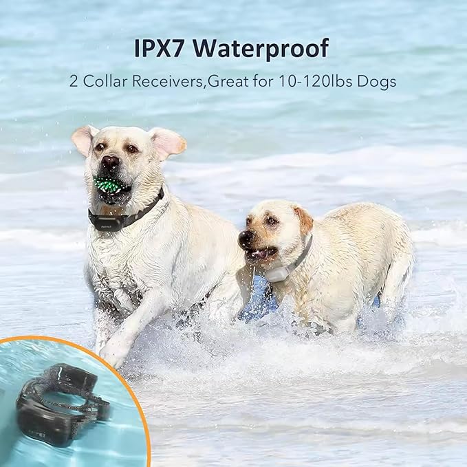 PATPET Shock Collar for Dogs(10-120lbs), 4000ft Rechargeable IPX7 Waterproof Training Collar with Remote for 2 Dogs- Electric Dog Collar for Small Medium Large Dogs 2 Packs