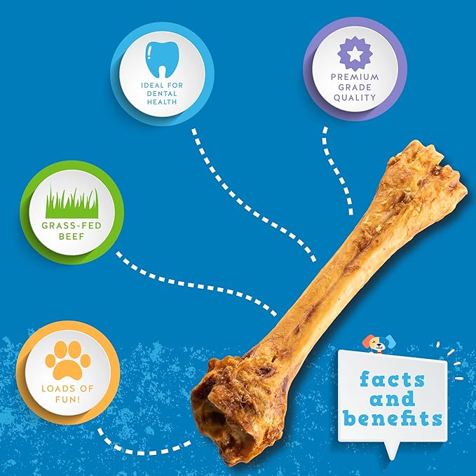 Jack&Pup 11” Shin Bones, Roasted Meaty Beef Bone for Dogs – Long Lasting Natural Dog Bones, Big Dog Bone for Large Dogs (3 Pack)
