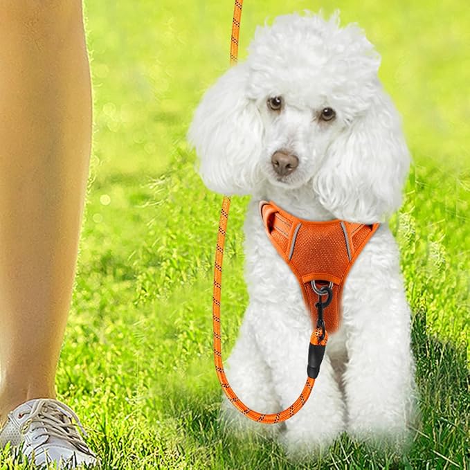 BARKBAY Dog Harness No Pull with ID Tag Pocket - Heavy Duty, Reflective, Easy Control for Large Dogs(Orange,XS)